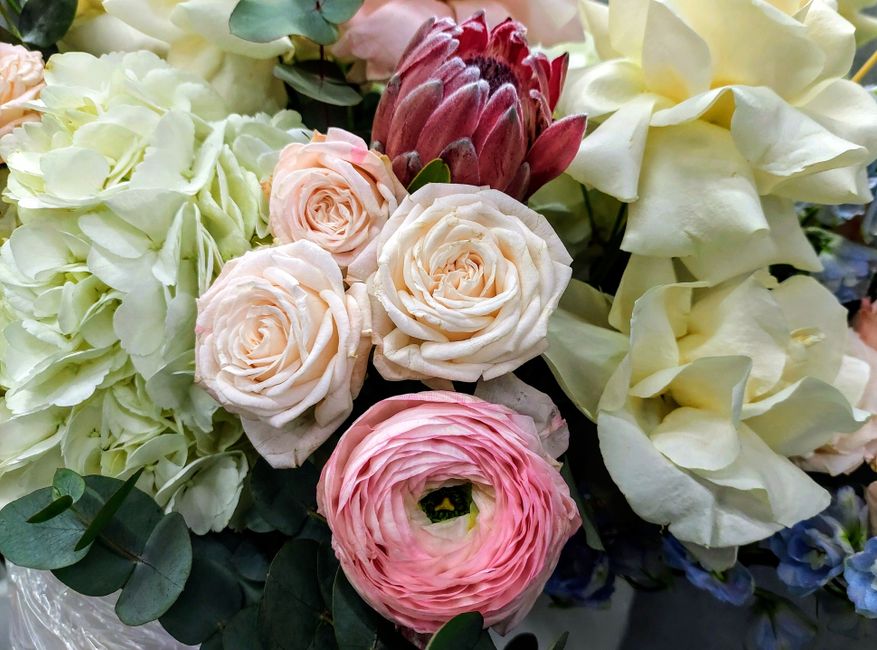 A close-up arrangement of fresh floral bouquet featuring soft pink and cream roses with tightly layered petals, complemented by large white hydrangea blooms and creamy white calla lilies. The bouquet 