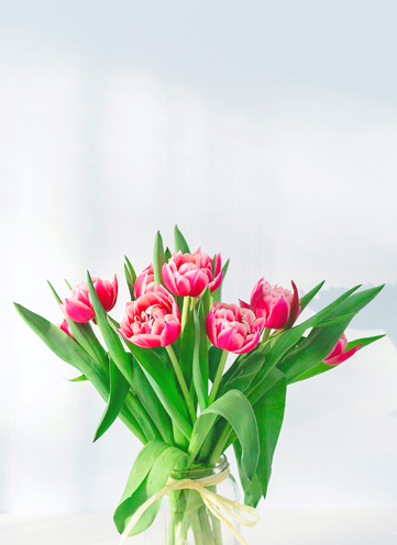 Same day Flowers Kings Langley